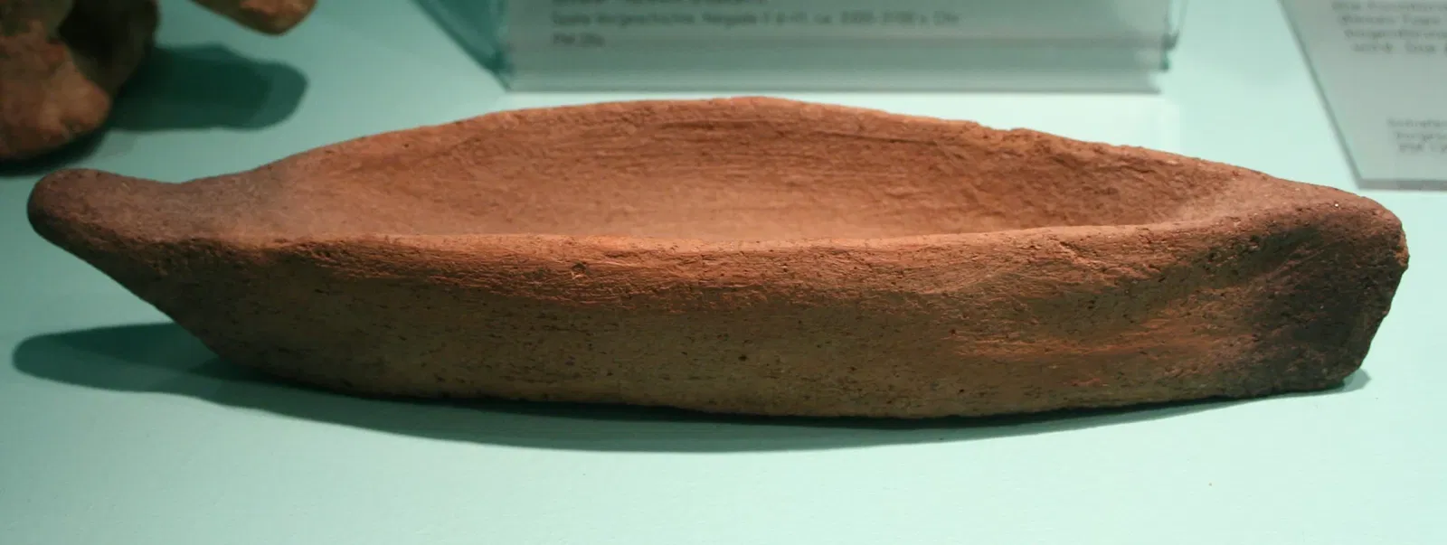 Musée Roemer et Pelizaeus