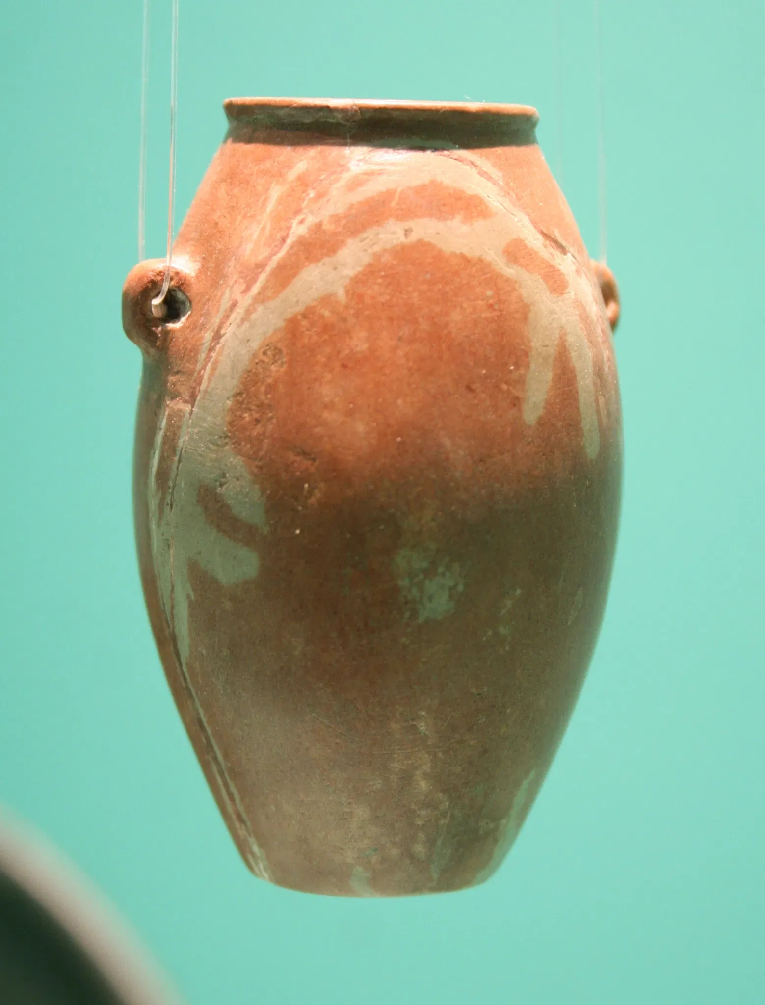 Musée Roemer et Pelizaeus