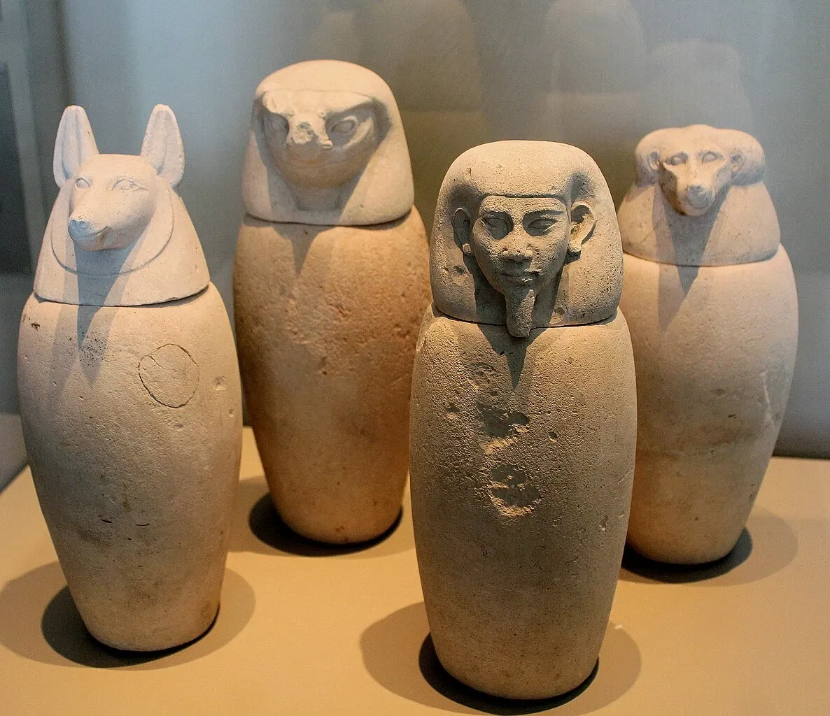 Roemer-und-Pelizaeus-Museum