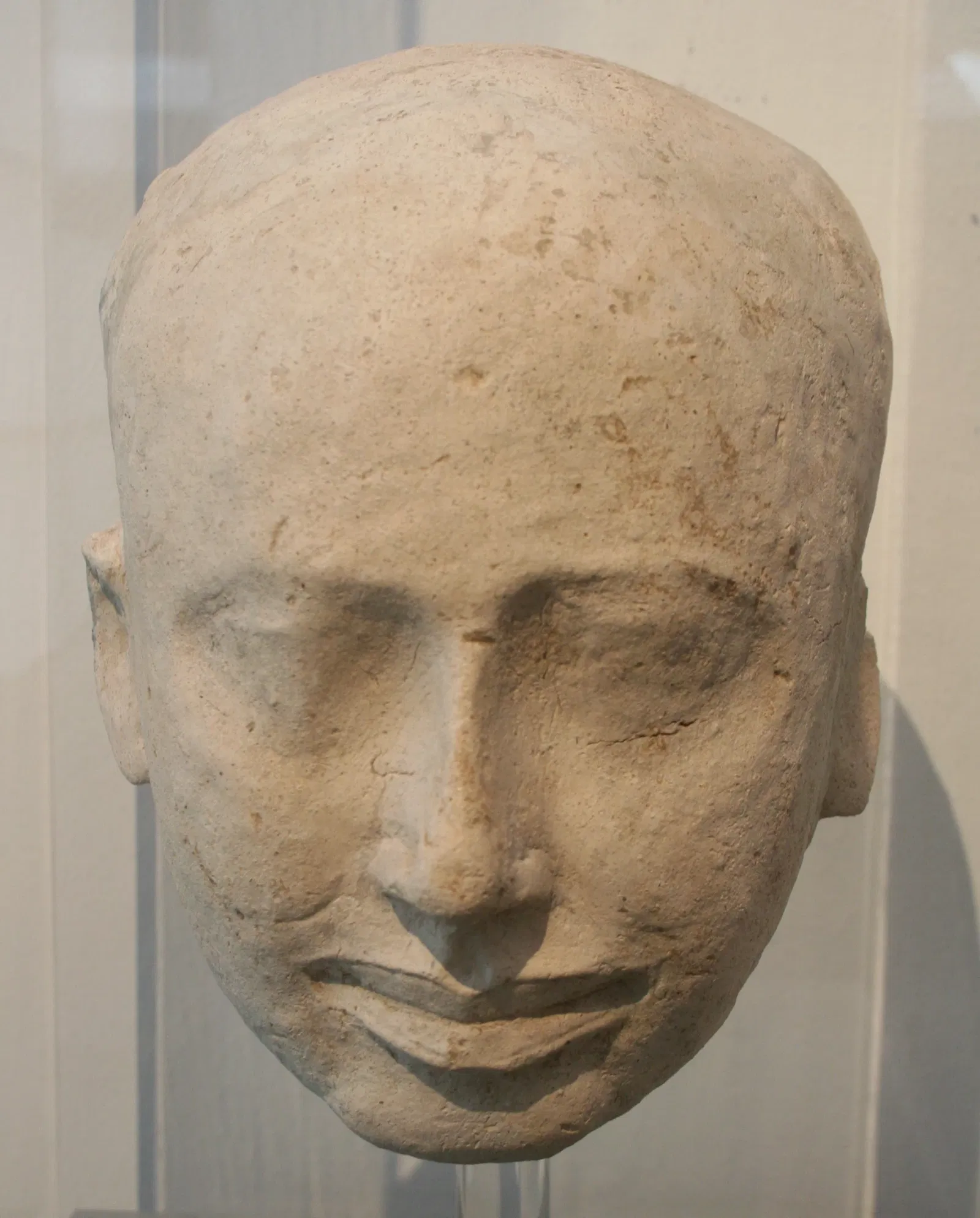 Musée Roemer et Pelizaeus