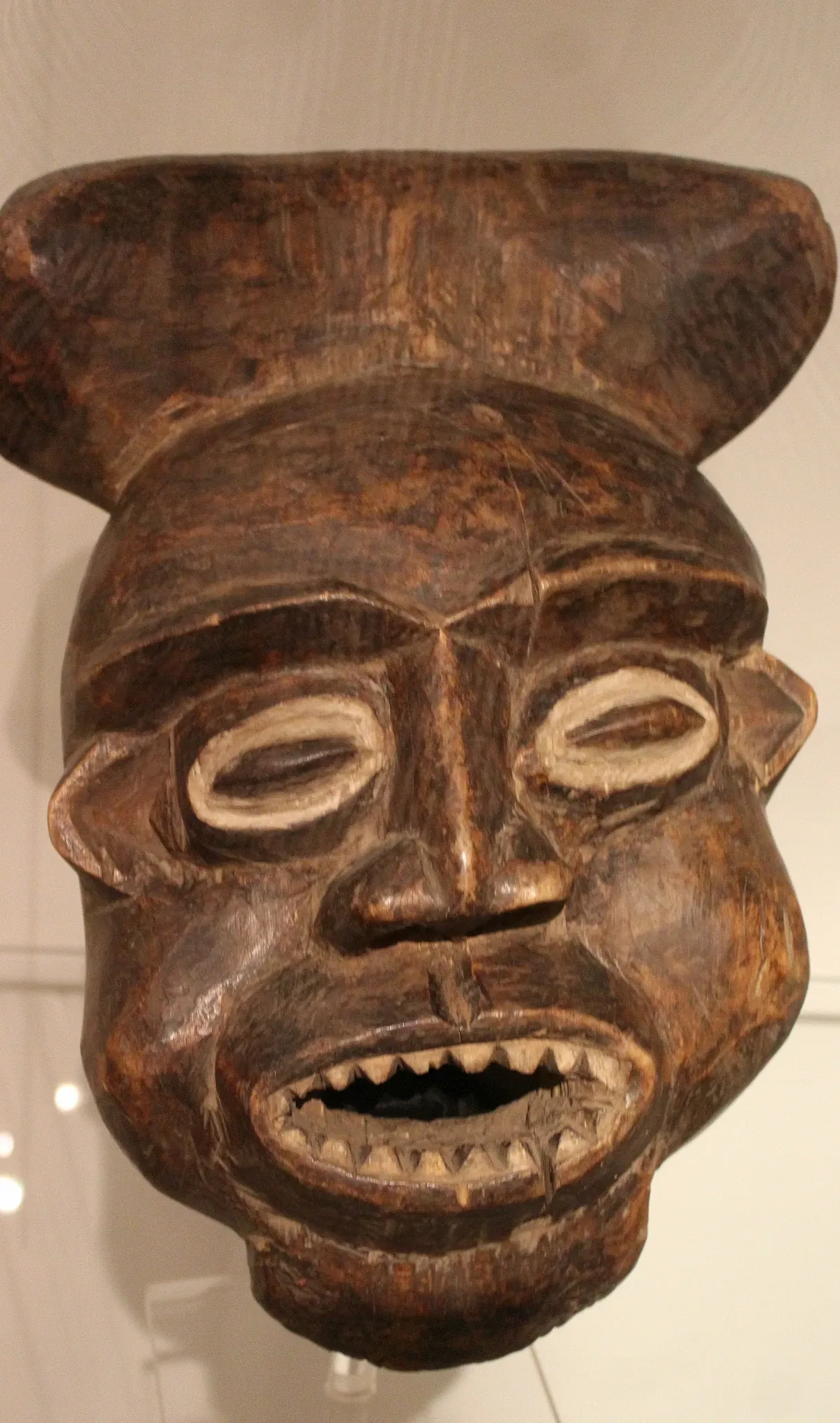 Musée Roemer et Pelizaeus