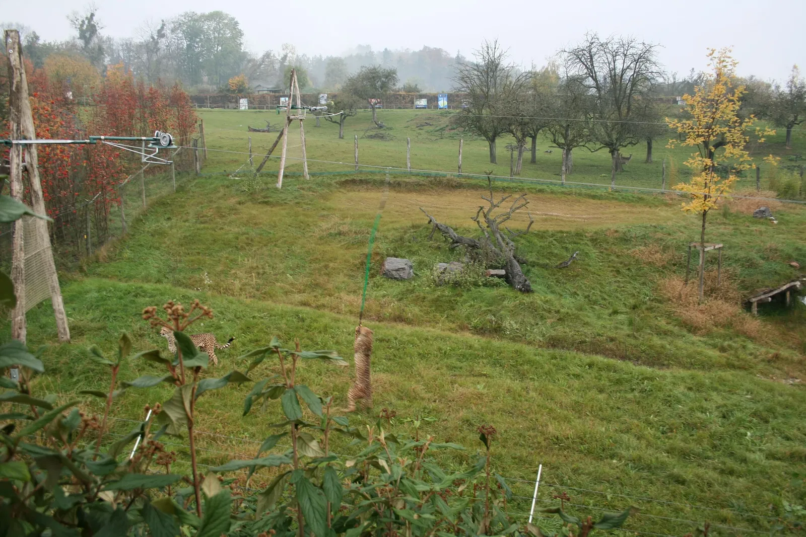 Tierwelt Herberstein