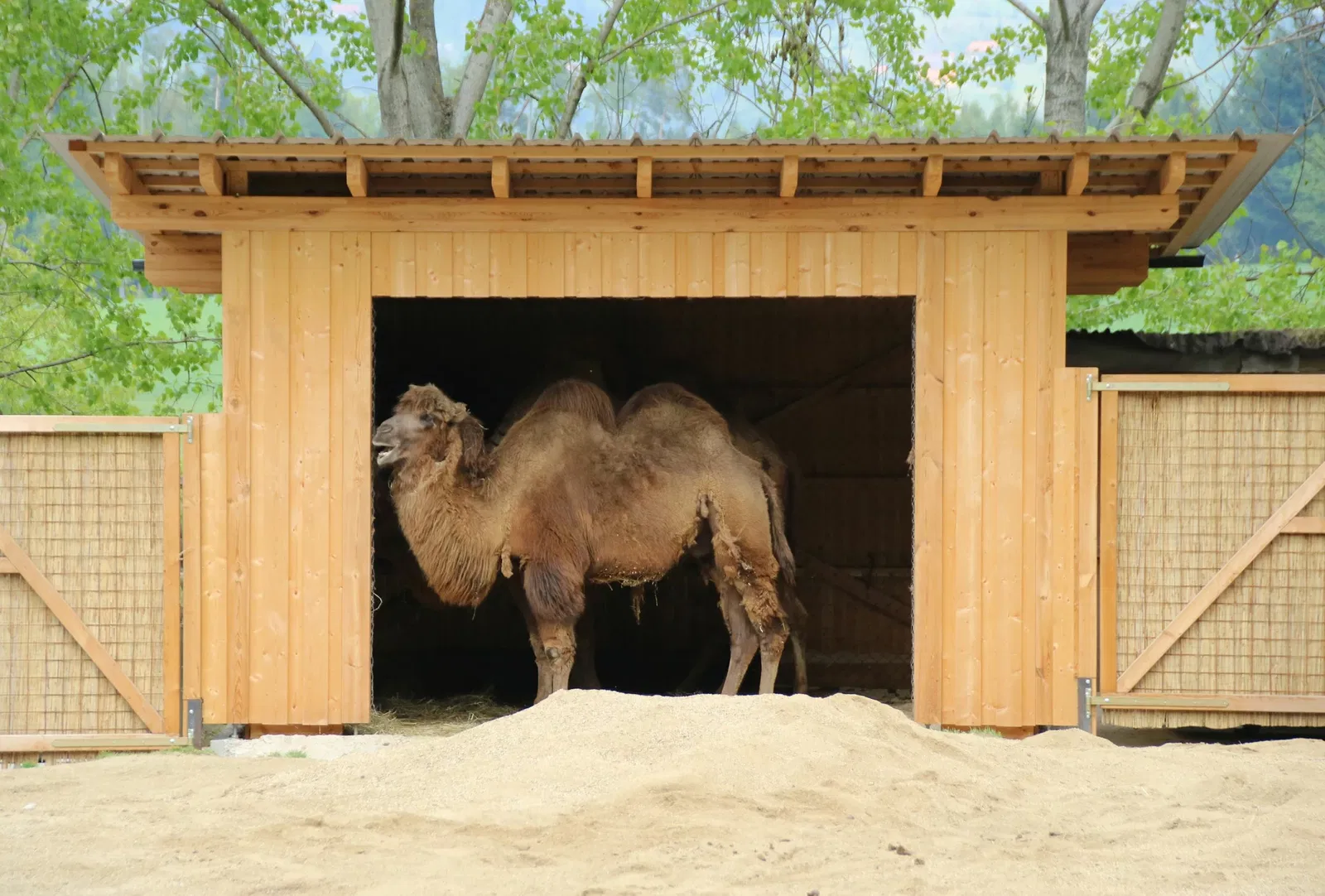 Tierwelt Herberstein