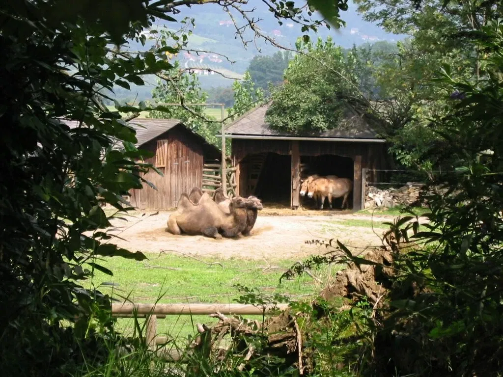 Tierwelt Herberstein