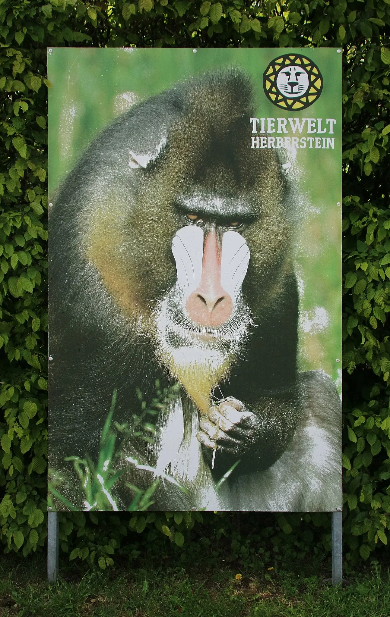Tierwelt Herberstein