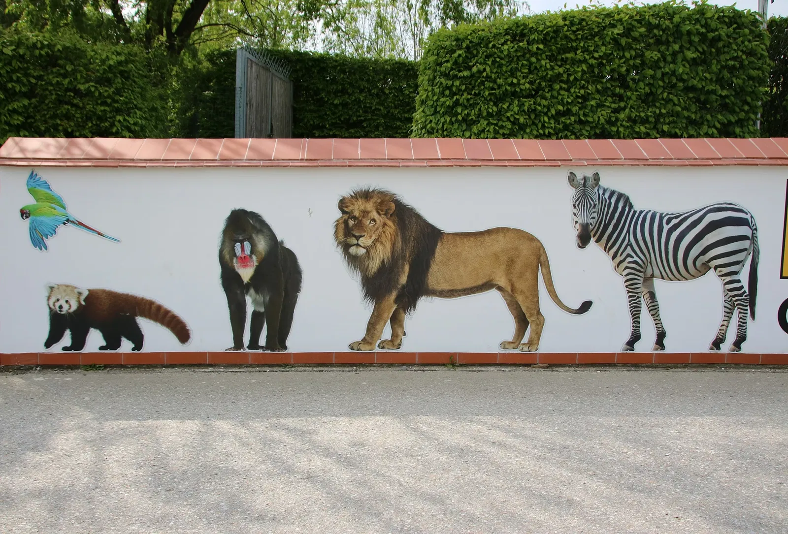 Tierwelt Herberstein