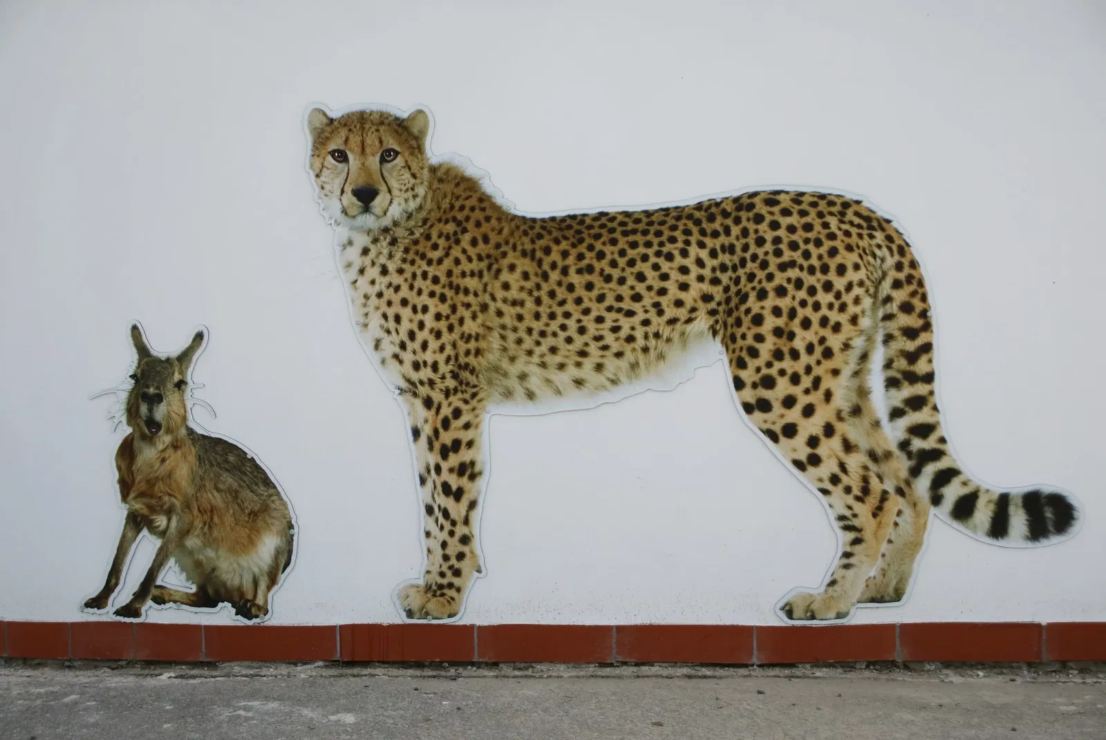 Tierwelt Herberstein