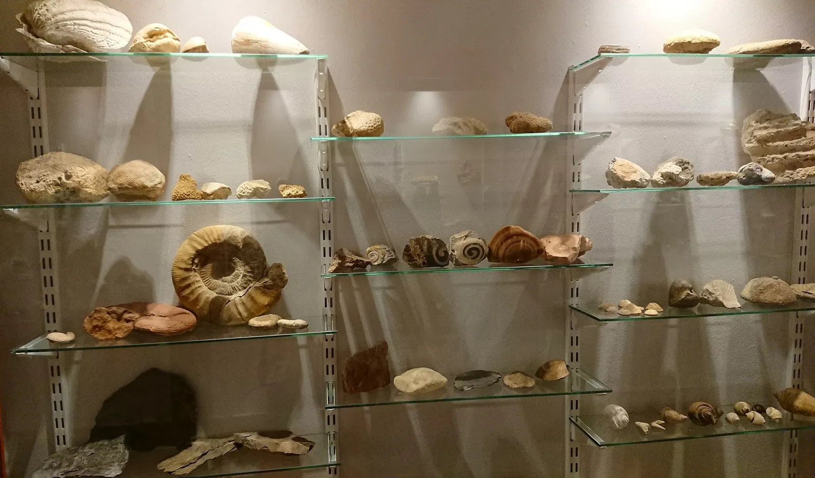 Museum für Volkskultur