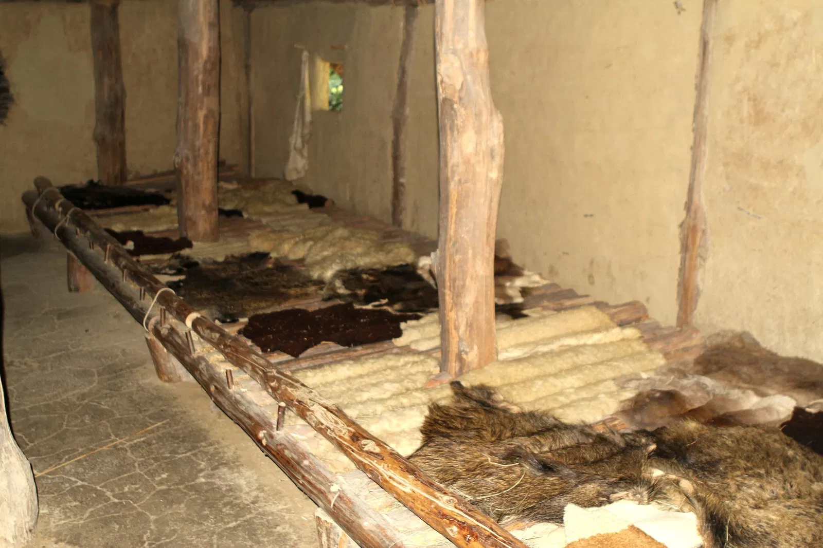 MAMUZ Castle Asparn / Zaya