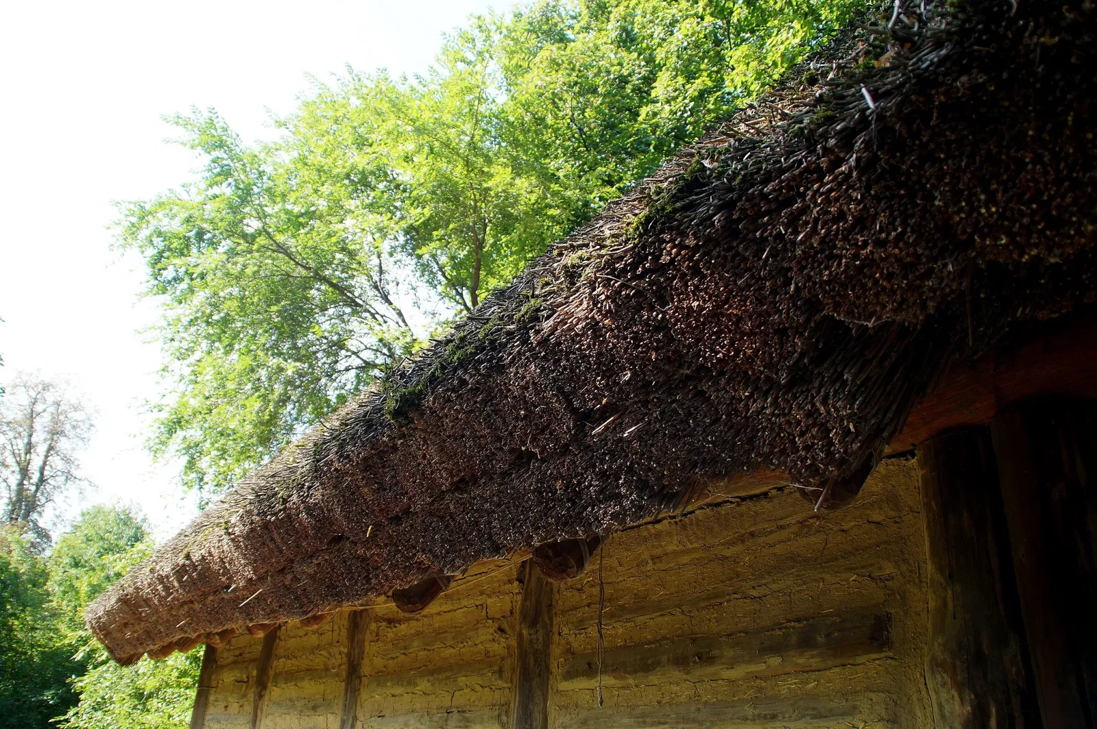 MAMUZ Castle Asparn / Zaya