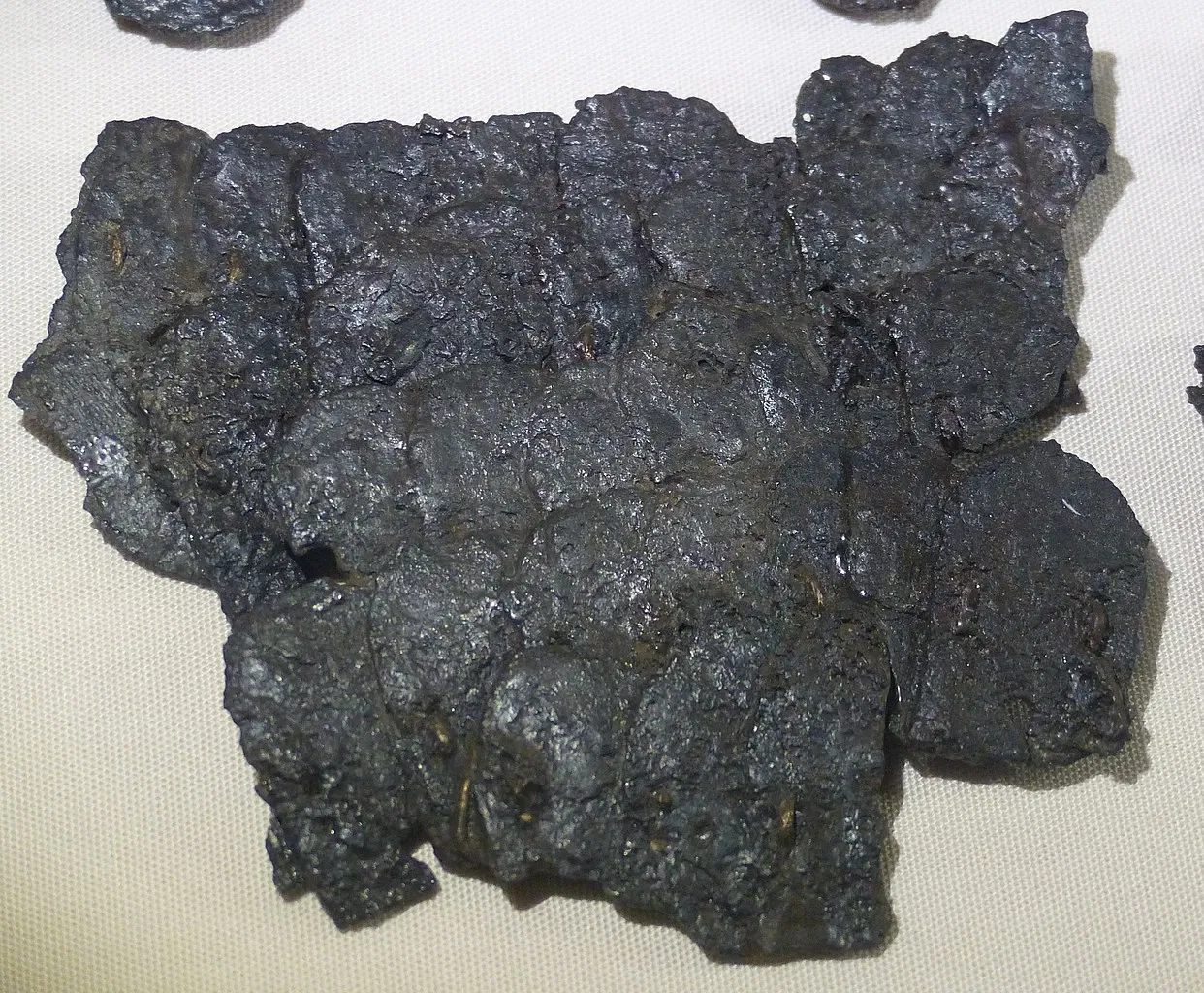 MAMUZ Castle Asparn / Zaya