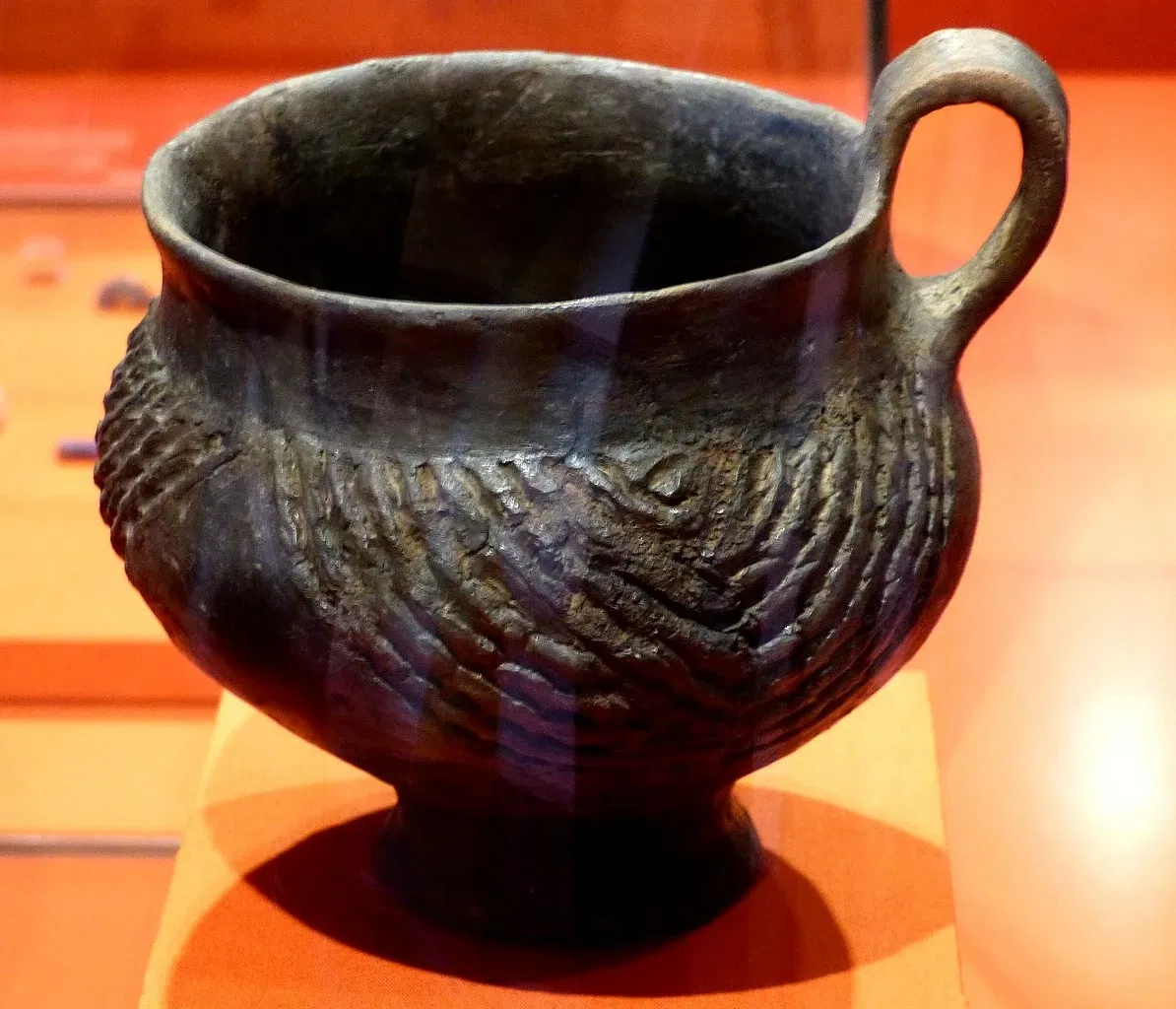 MAMUZ Castle Asparn / Zaya