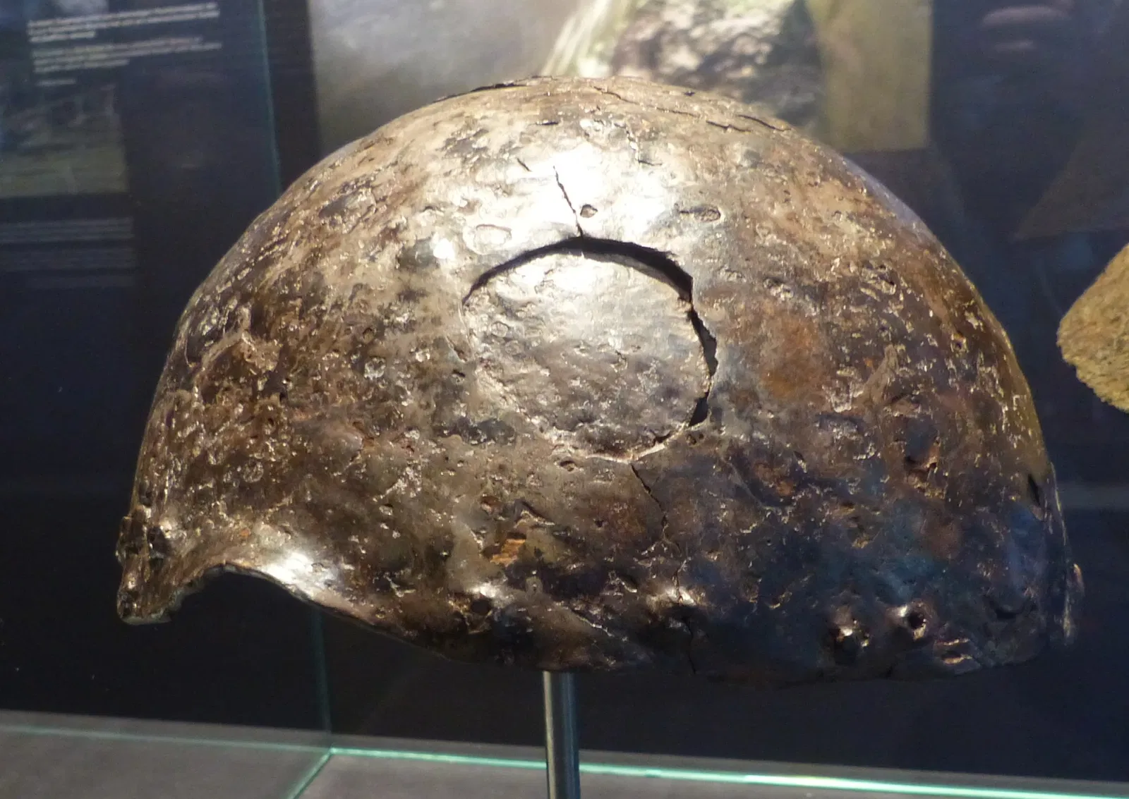 MAMUZ Castle Asparn / Zaya