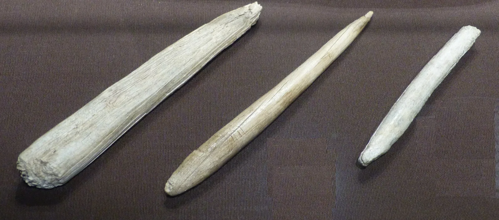 MAMUZ Schloss Asparn/Zaya