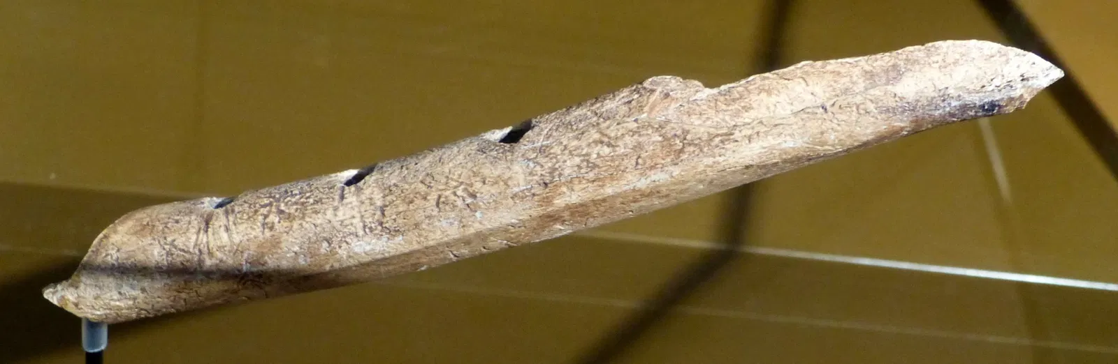 MAMUZ Schloss Asparn/Zaya