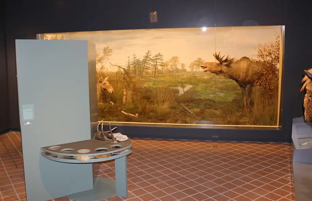 Ostpreußisches Landesmuseum