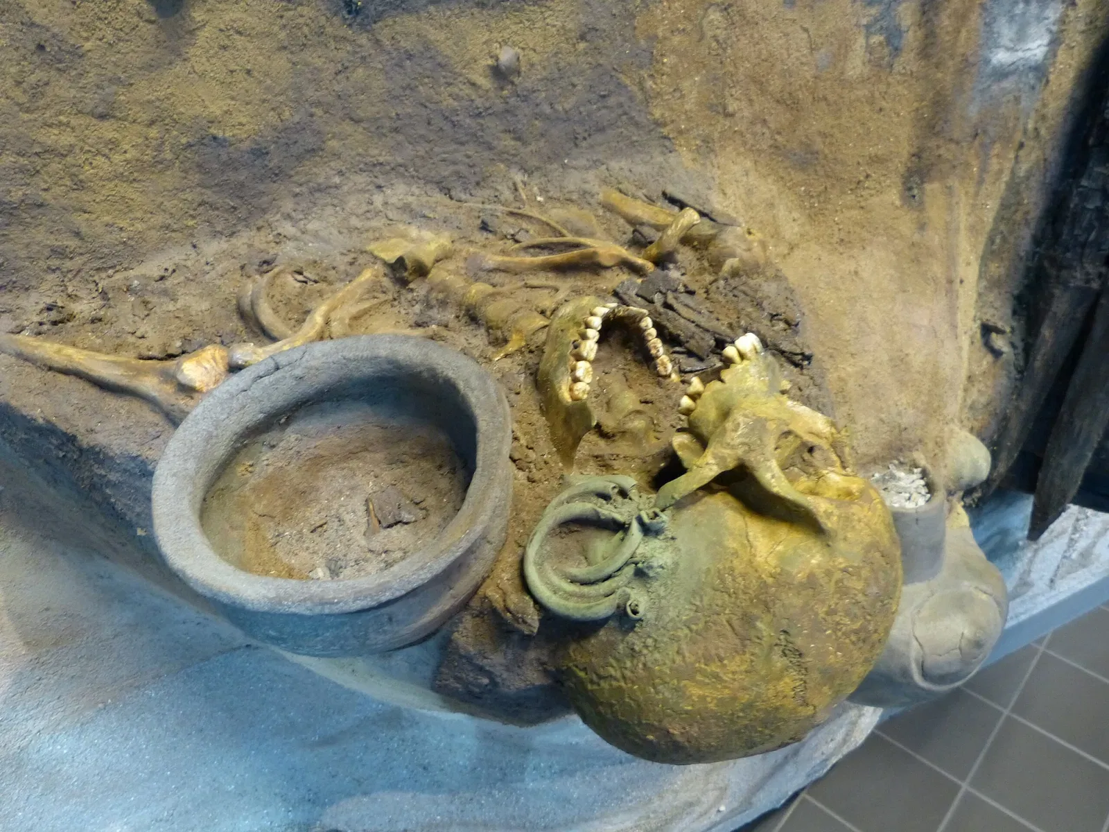 Brandenburg State Archaeology Museum