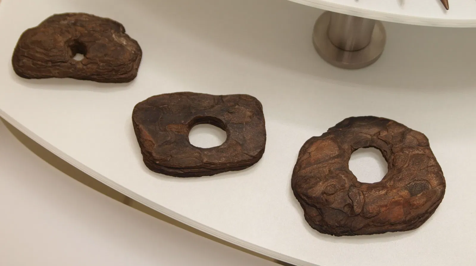 Archäologisches Landesmuseum Brandenburg