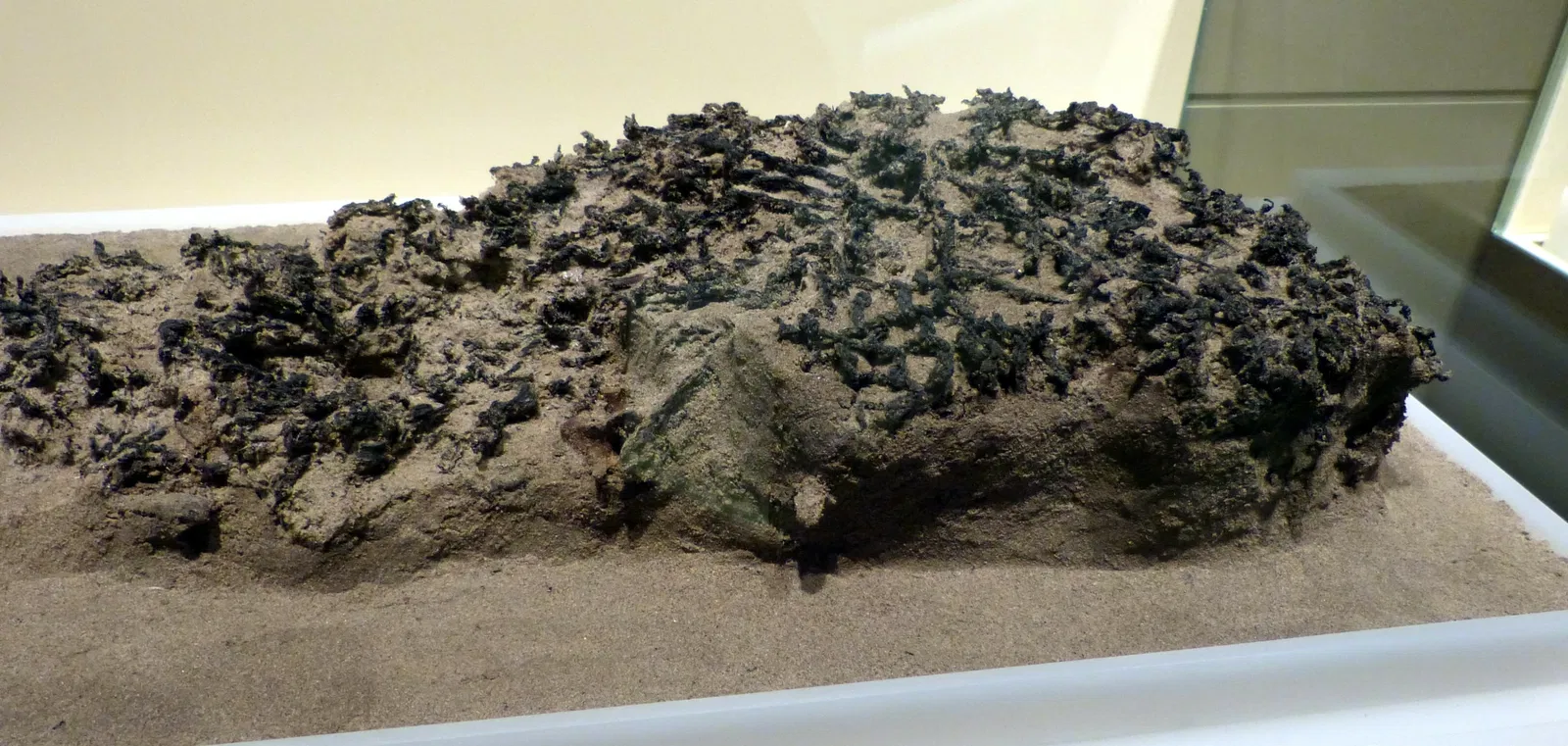 Archäologisches Landesmuseum Brandenburg