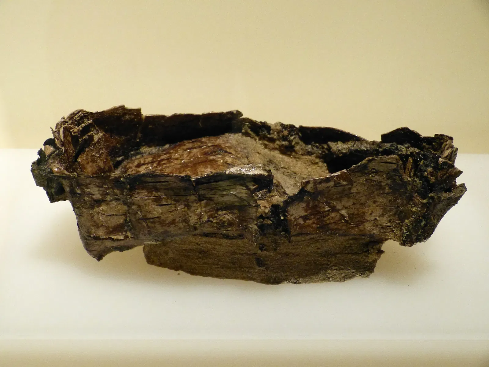 Brandenburg State Archaeology Museum