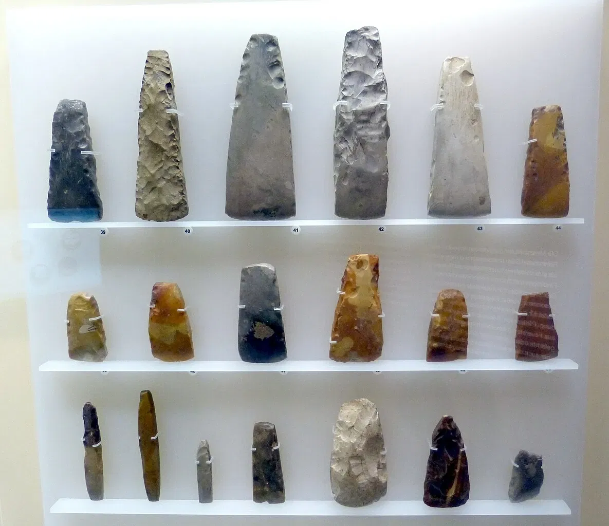 Archäologisches Landesmuseum Brandenburg