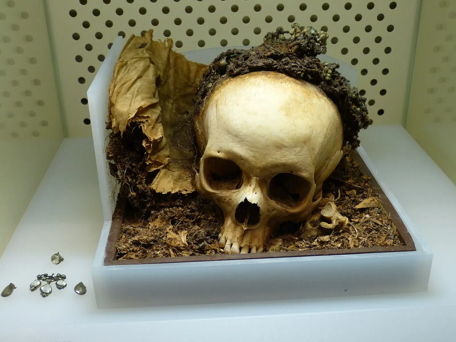 Brandenburg State Archaeology Museum