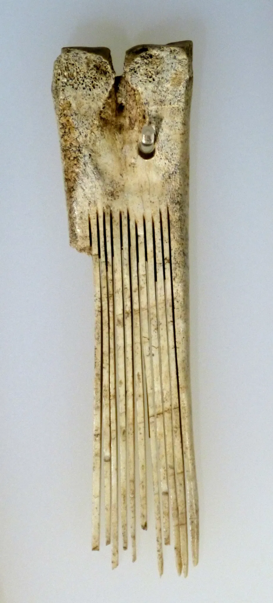 Brandenburg State Archaeology Museum