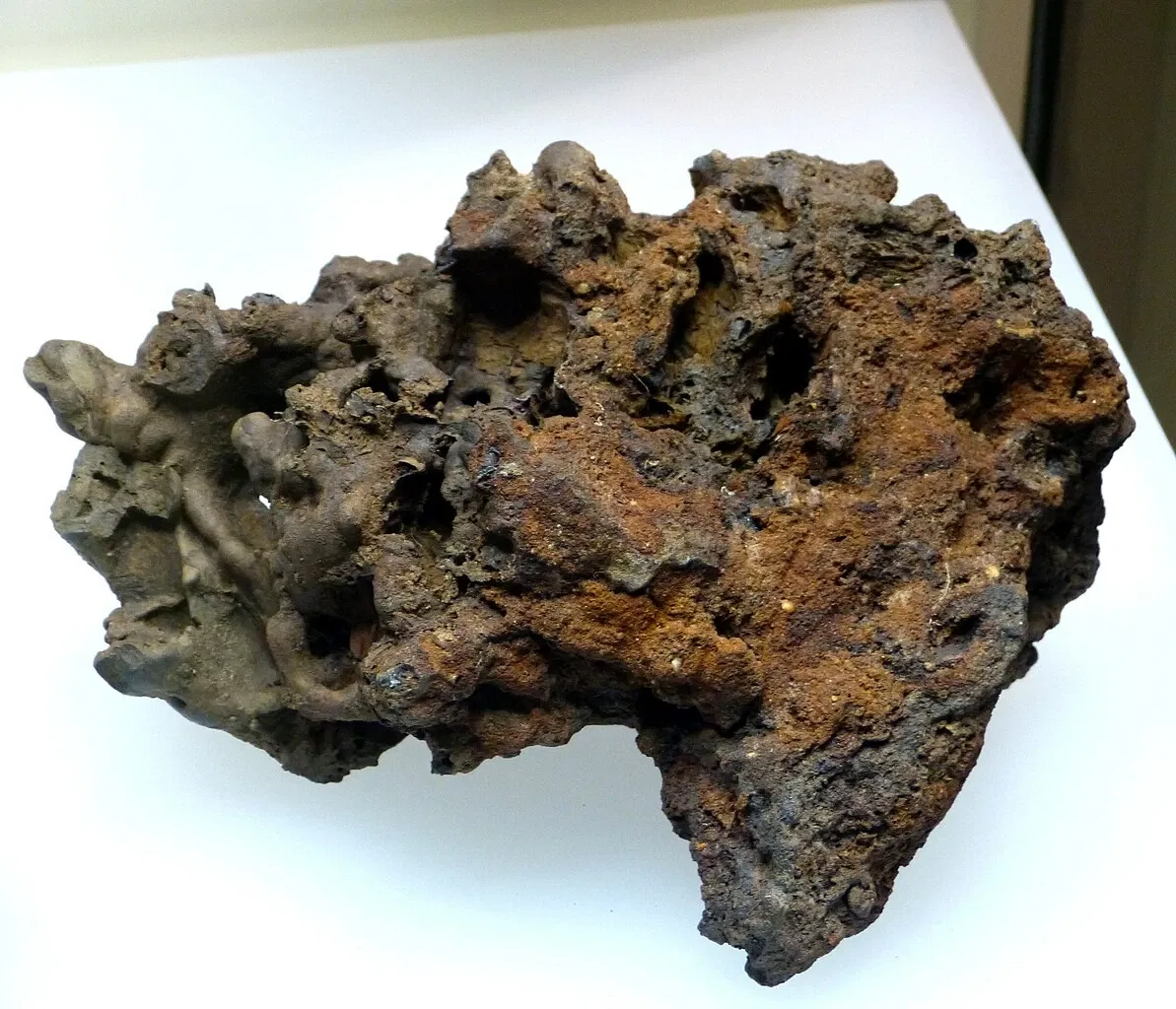 Brandenburg State Archaeology Museum