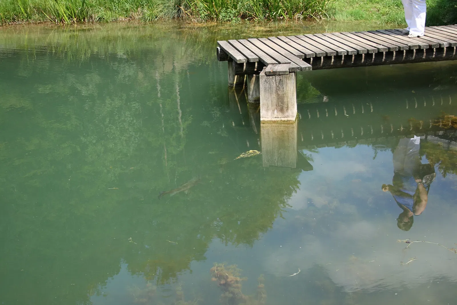 Austrian Open Air Museum Stübing