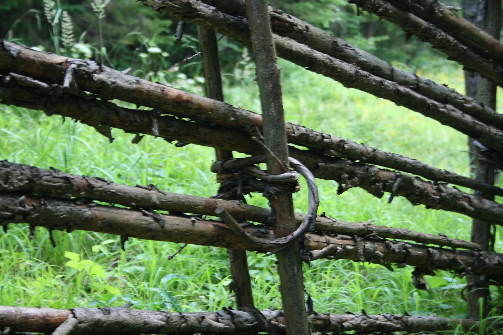 Austrian Open Air Museum Stübing
