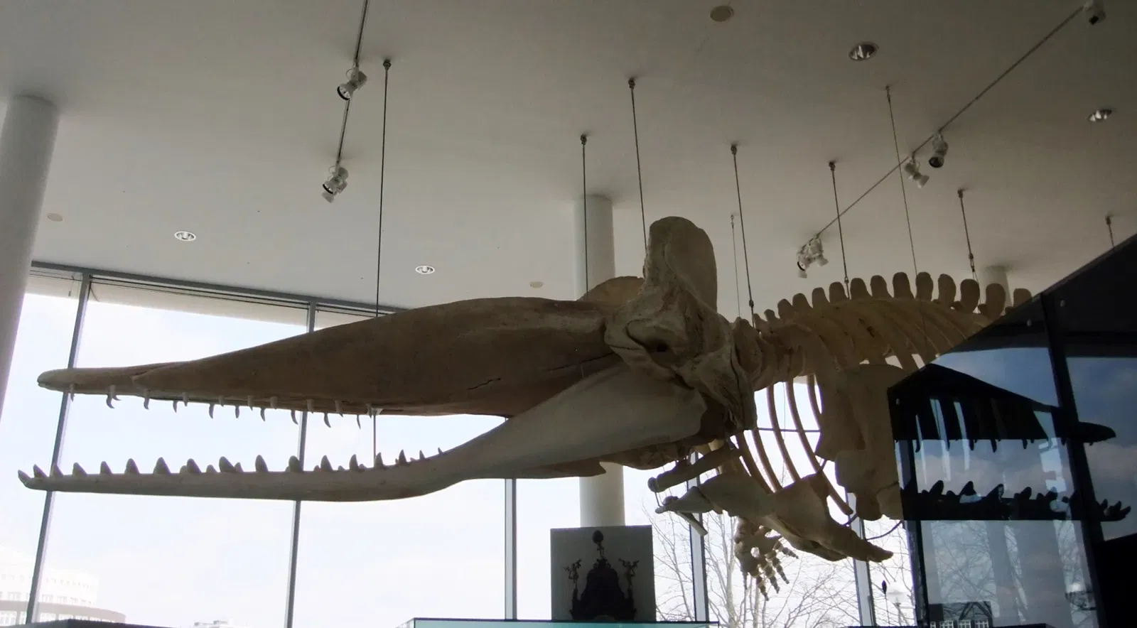 Deutsches Schifffahrtsmuseum (DSM)