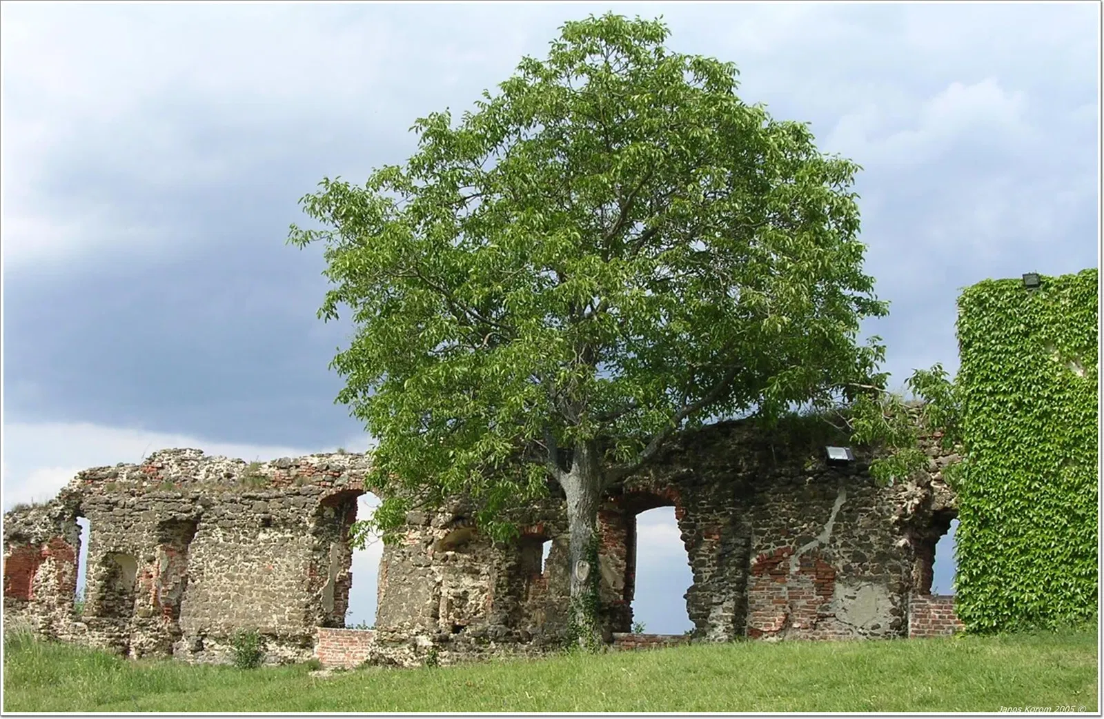 Castello di Güssing