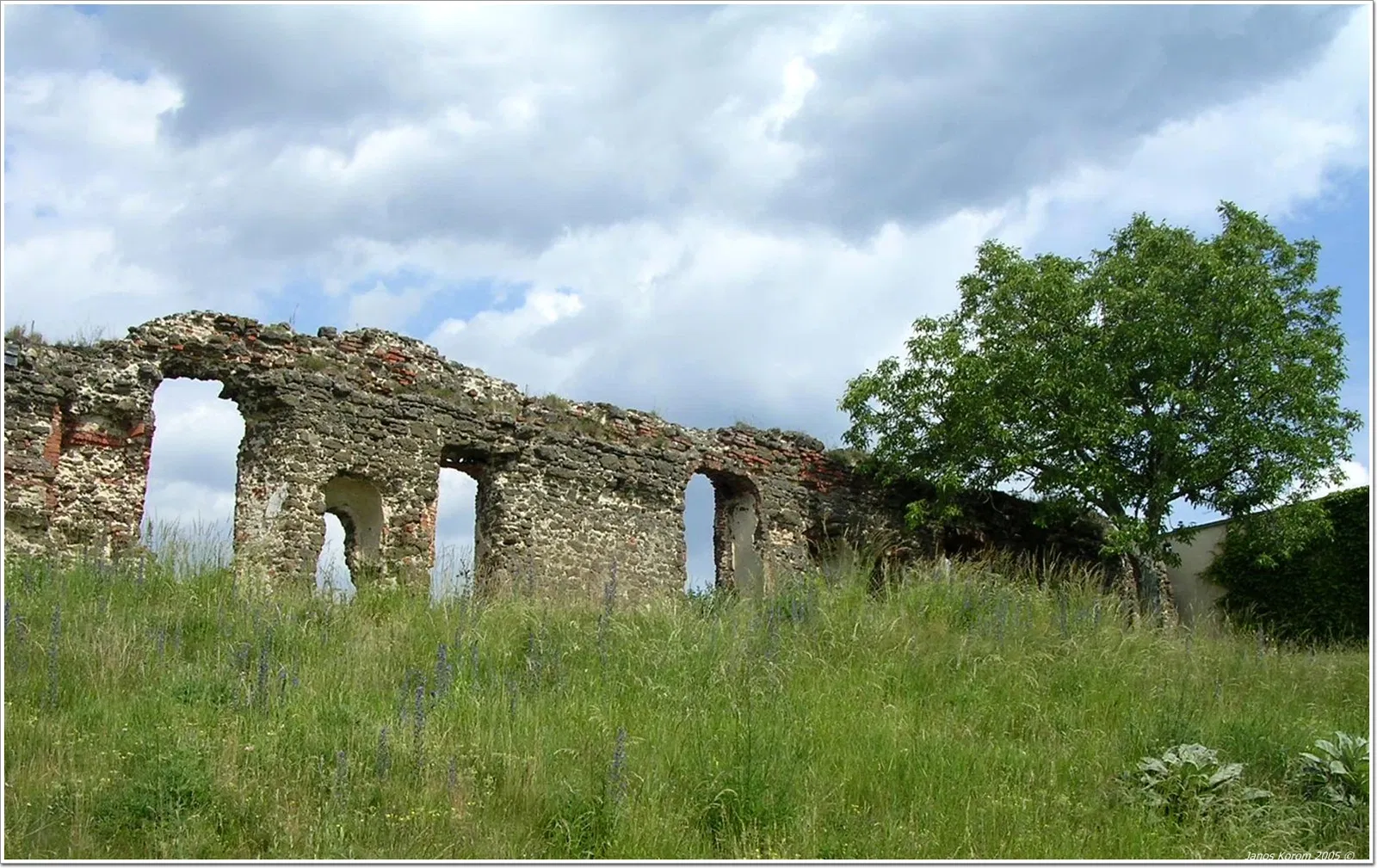 Castillo de Güssing