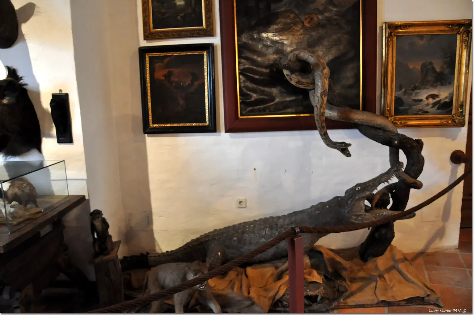 Castello di Güssing