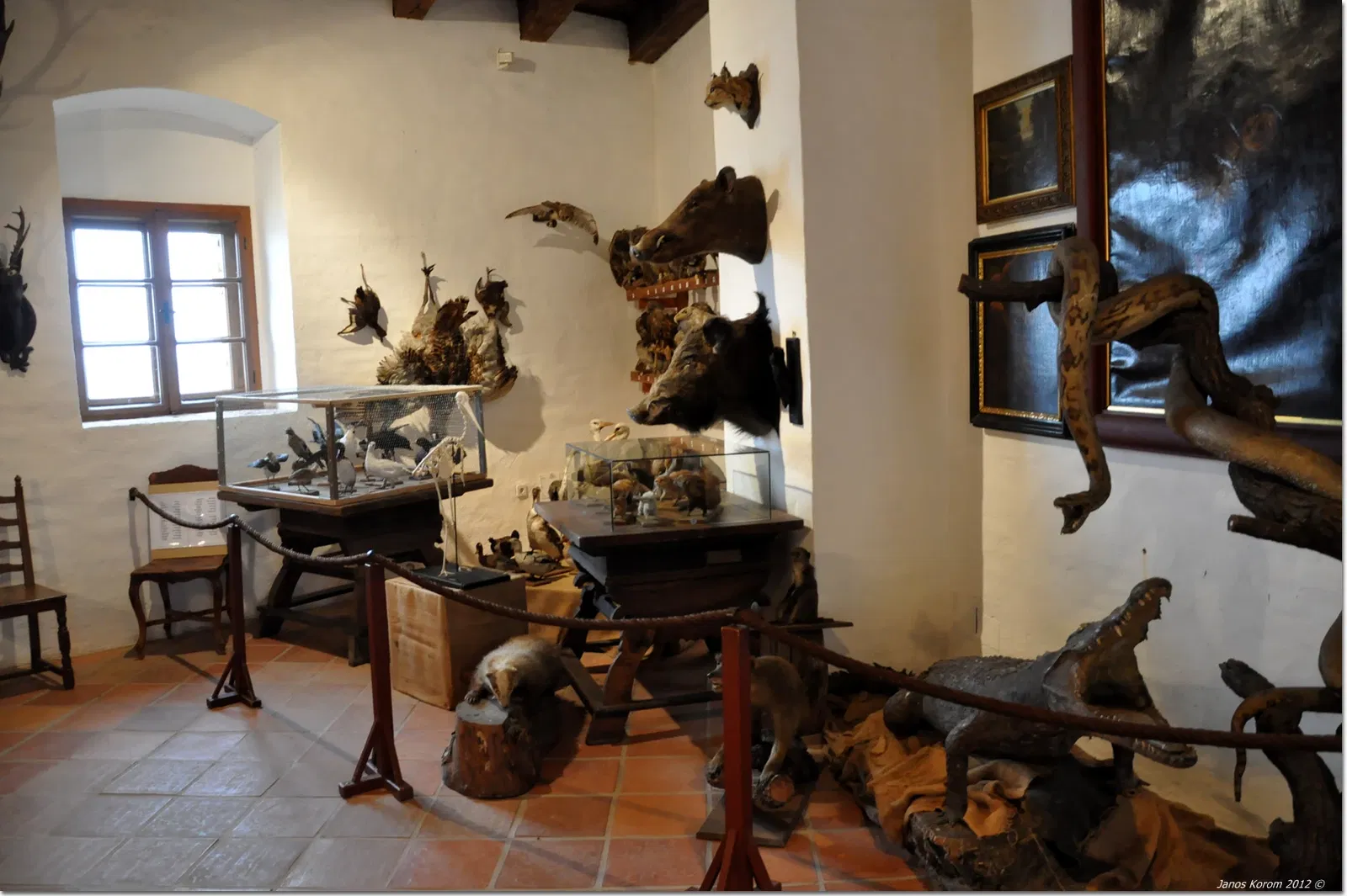 Castello di Güssing