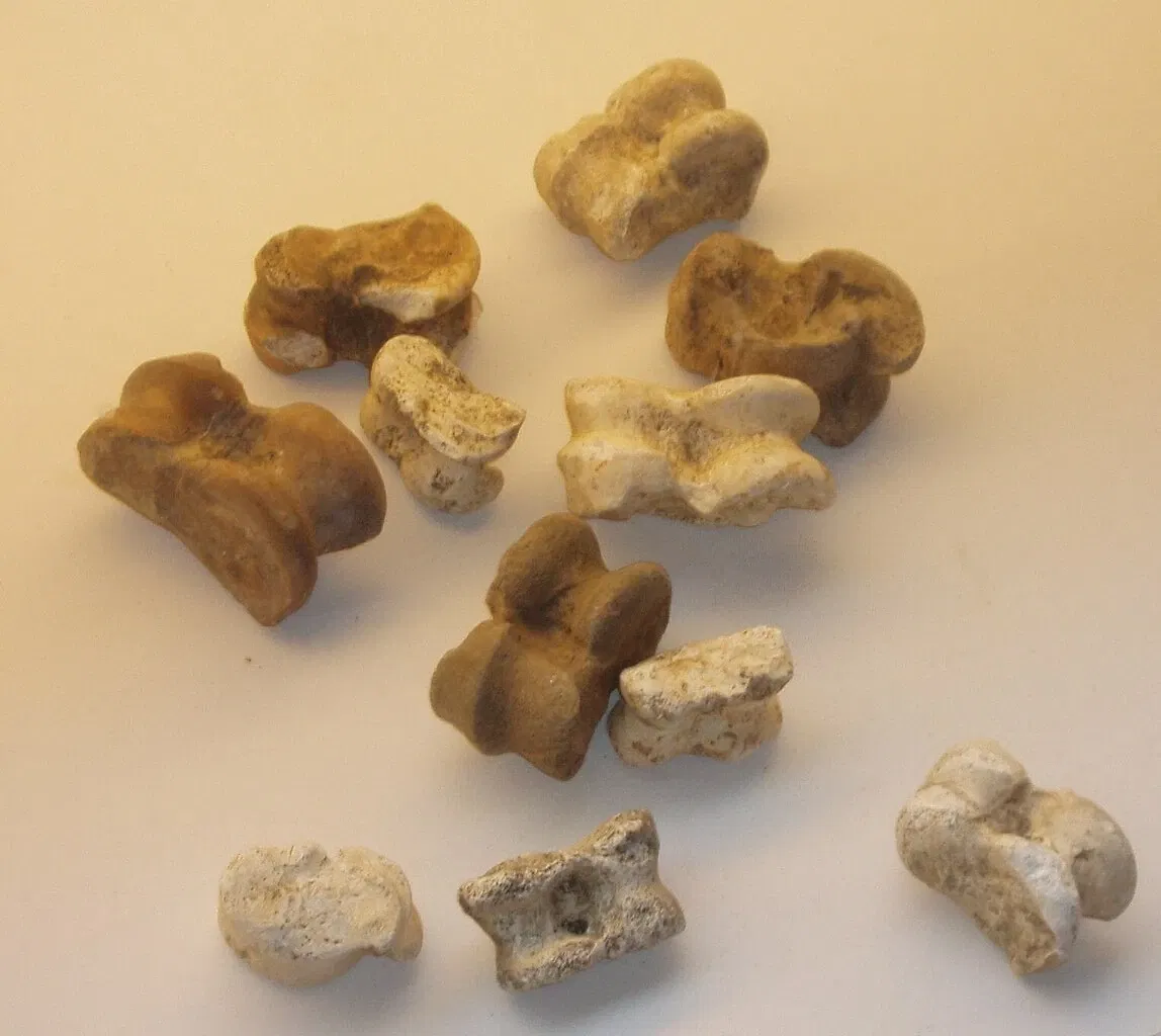 Cambodunum Archaeological Park