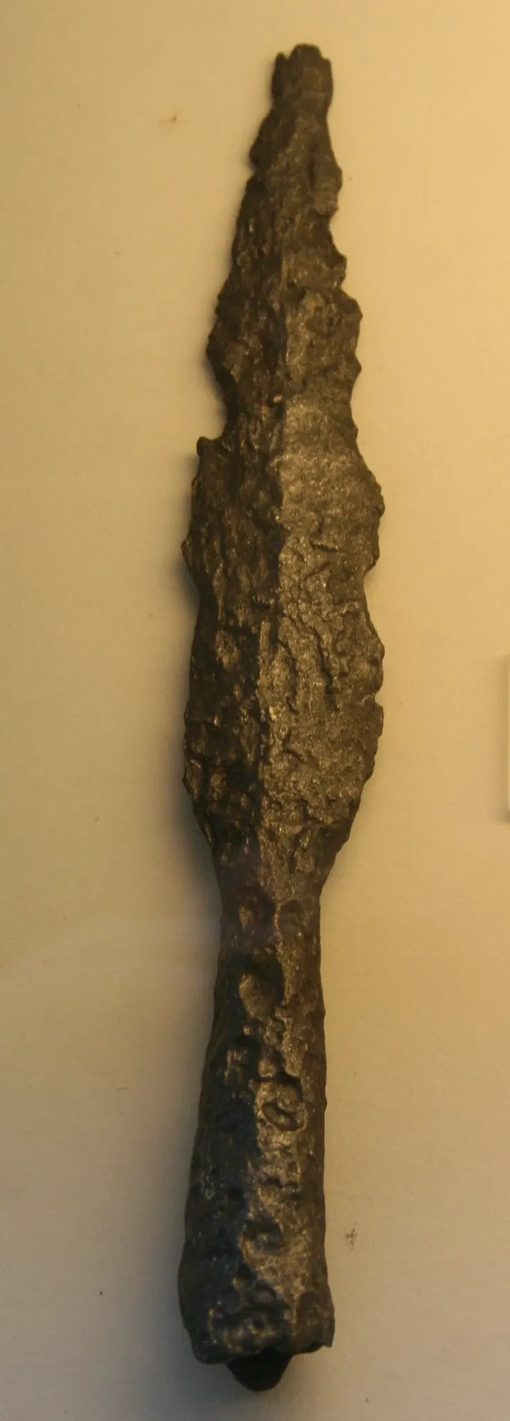 Archäologischer Park Cambodunum (APC)