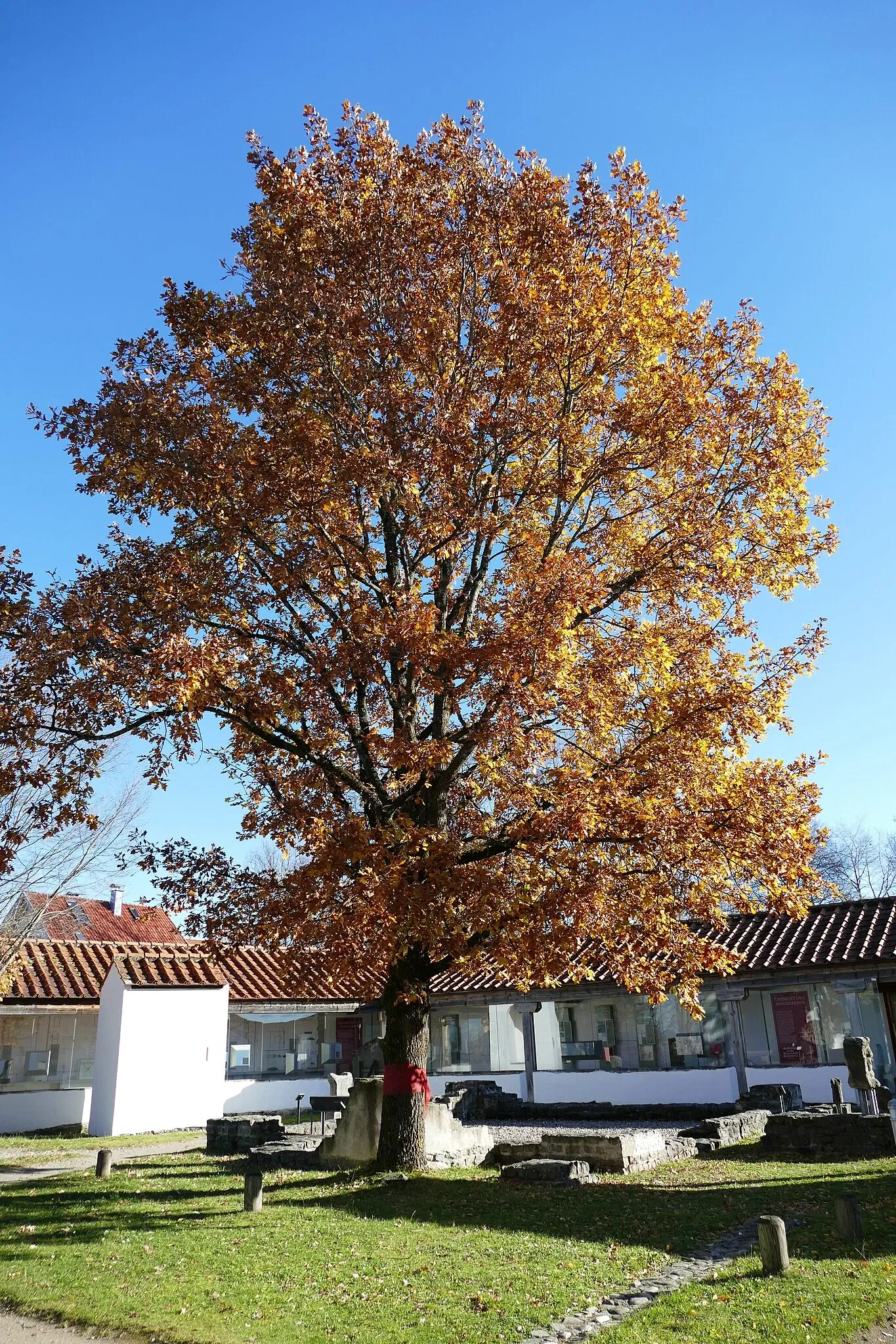 Cambodunum Archaeological Park