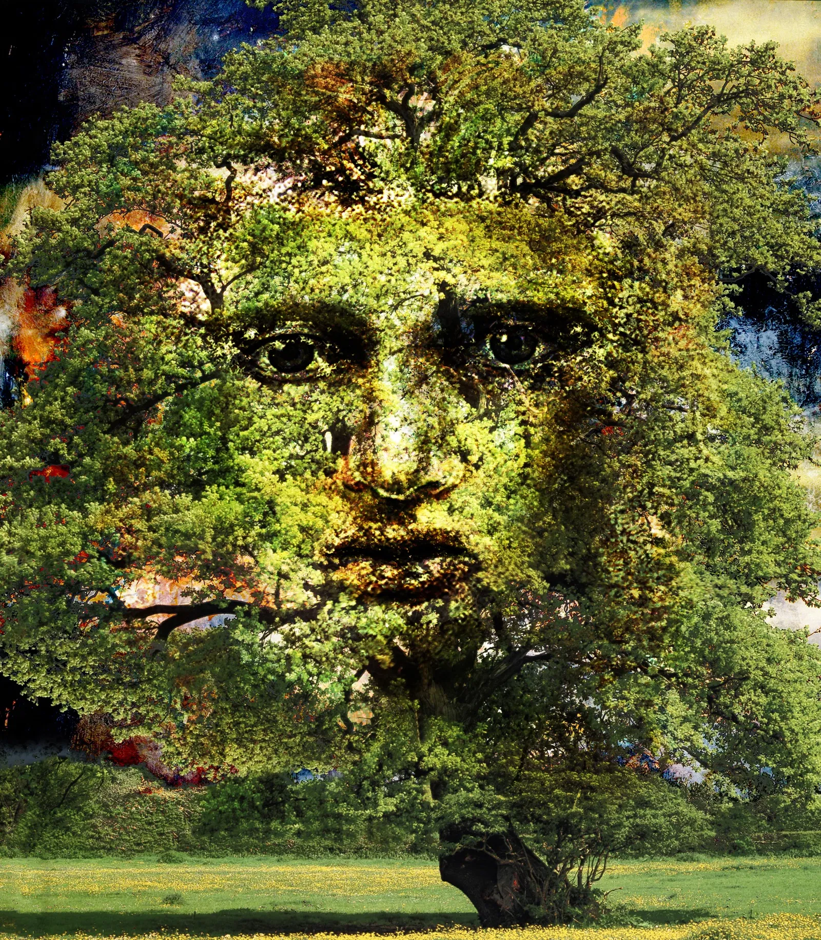 Kunstmuseum Waldviertel