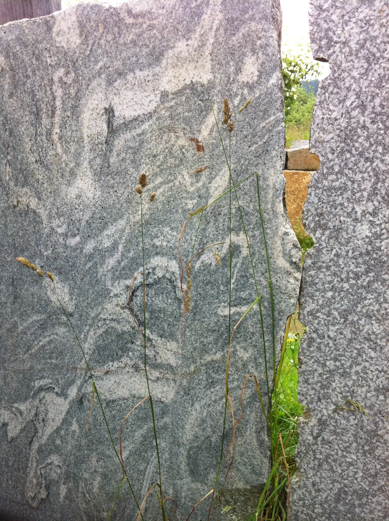 Kunstmuseum Waldviertel