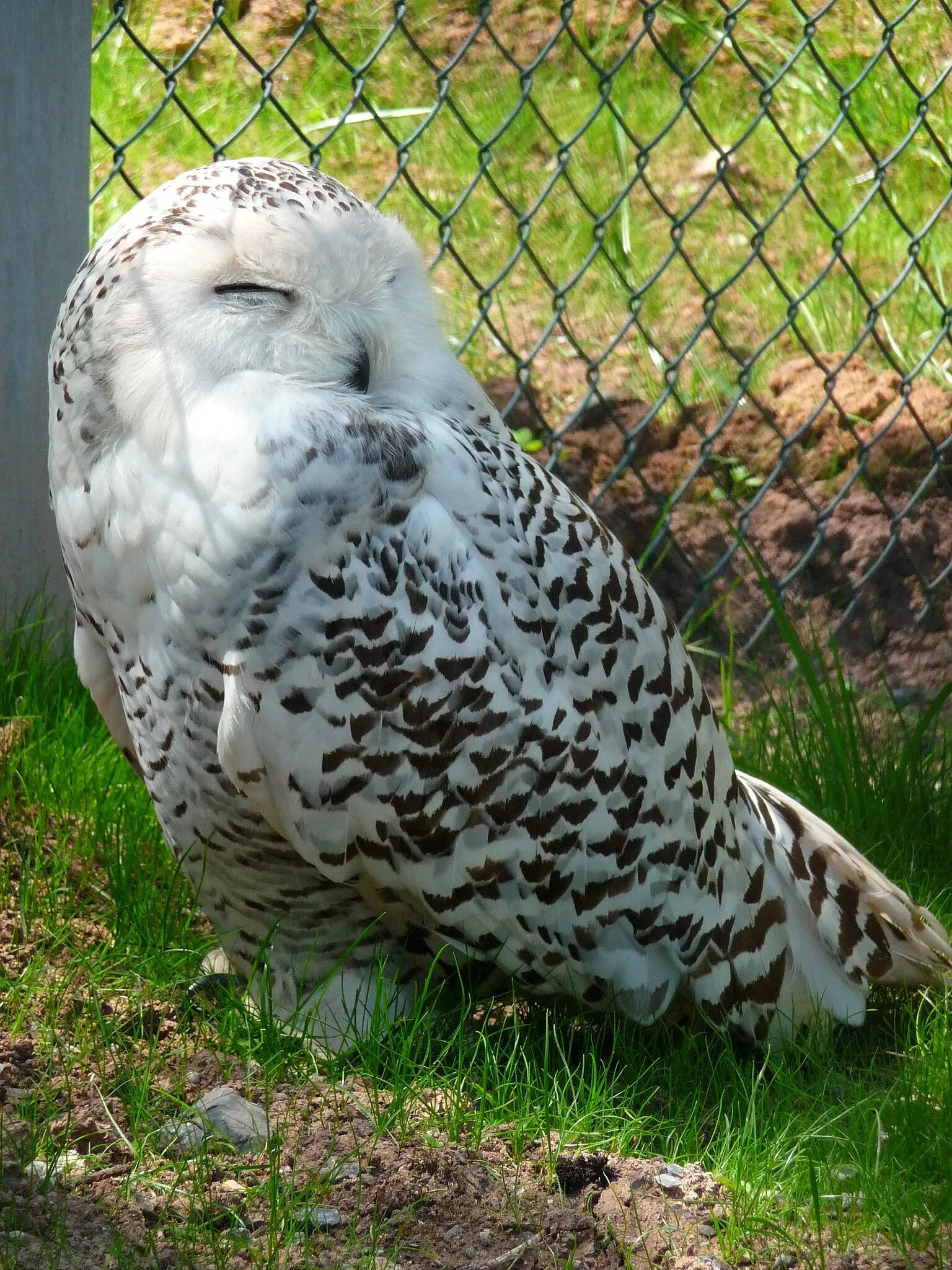 Wildparadies Tripsdrill