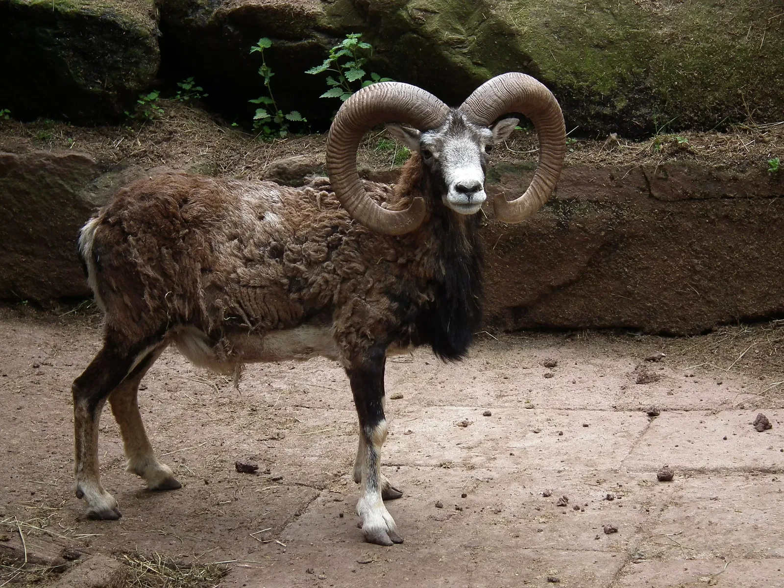 Wildparadies Tripsdrill