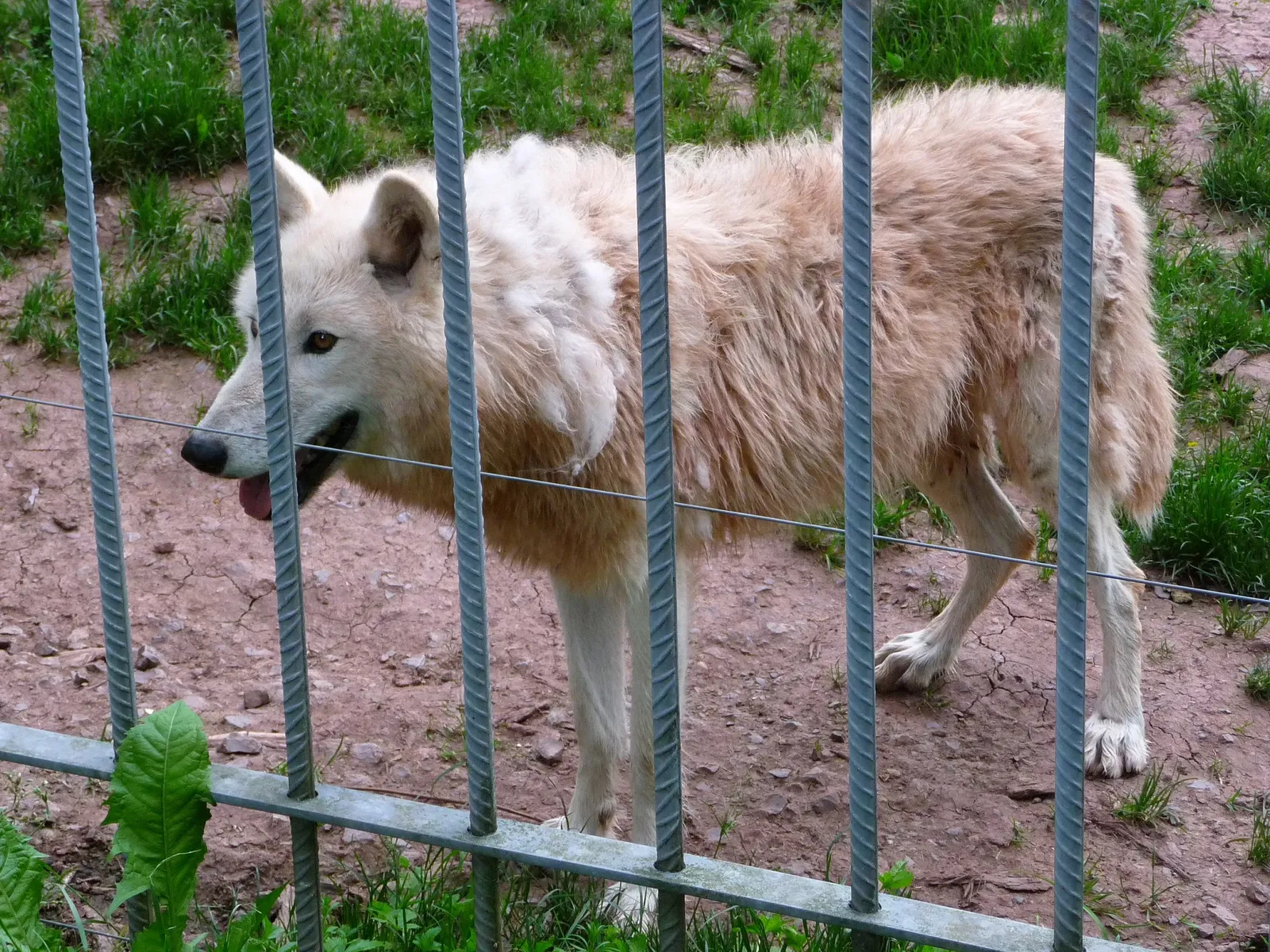 Wildparadies Tripsdrill