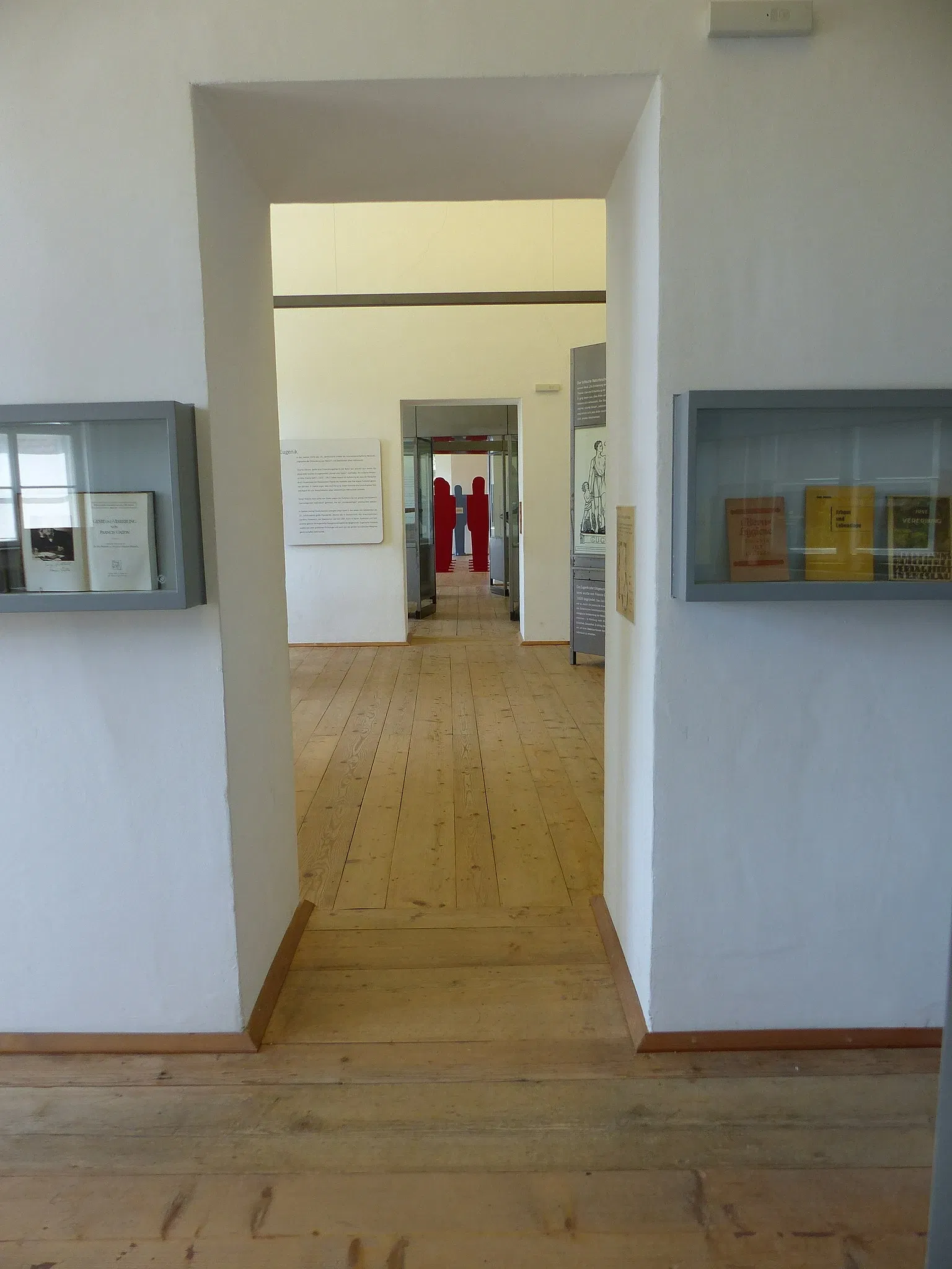 Castillo de Hartheim