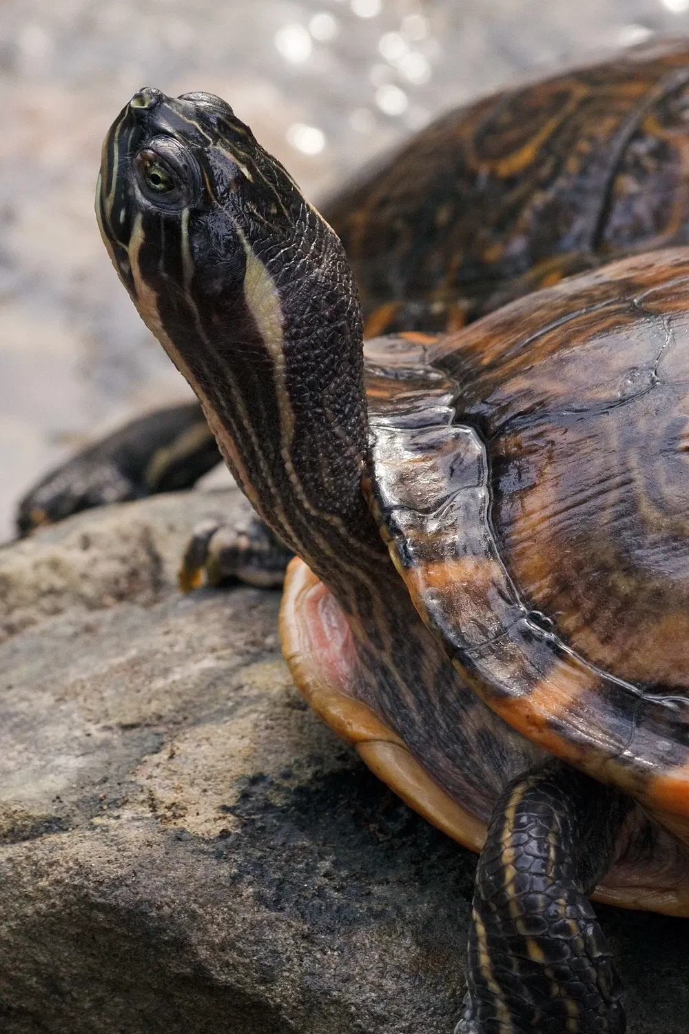 ZOOM Erlebniswelt Gelsenkirchen