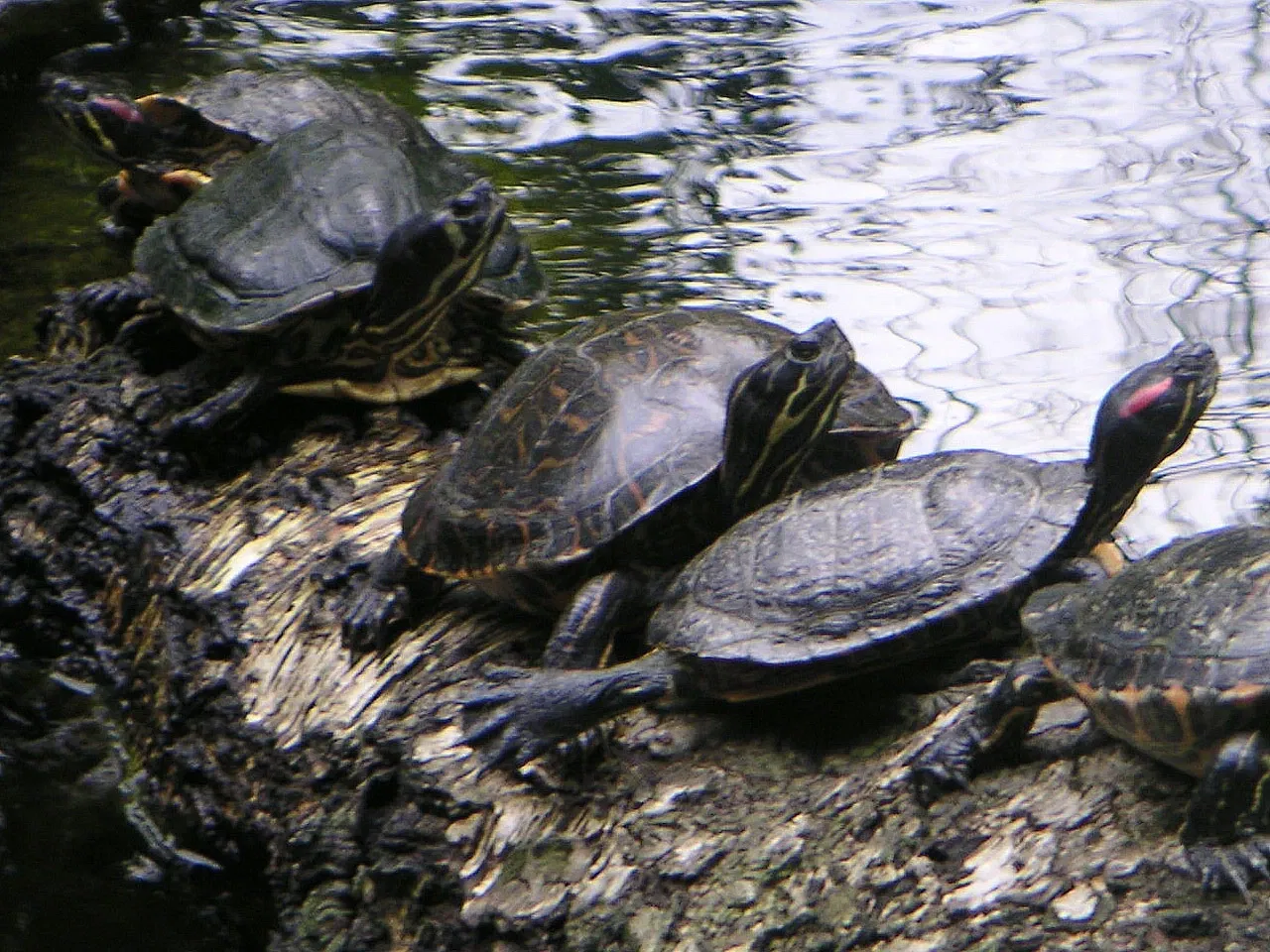 ZOOM Erlebniswelt Gelsenkirchen