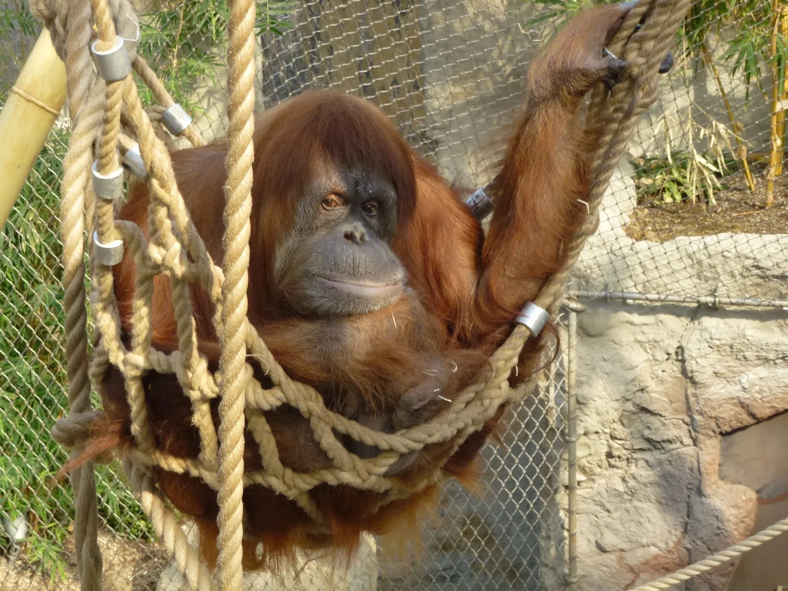 ZOOM Erlebniswelt Gelsenkirchen