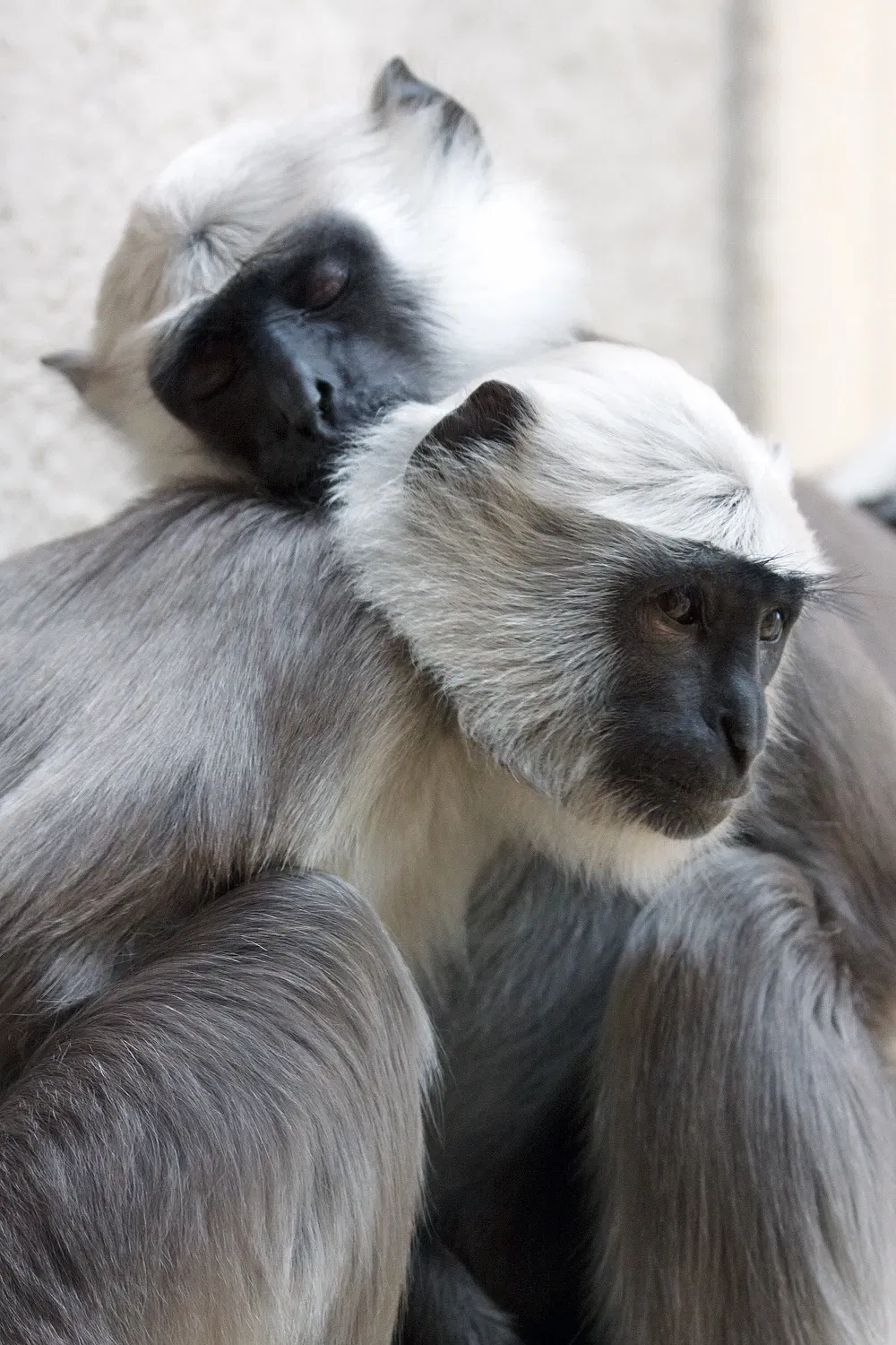 ZOOM Erlebniswelt Gelsenkirchen