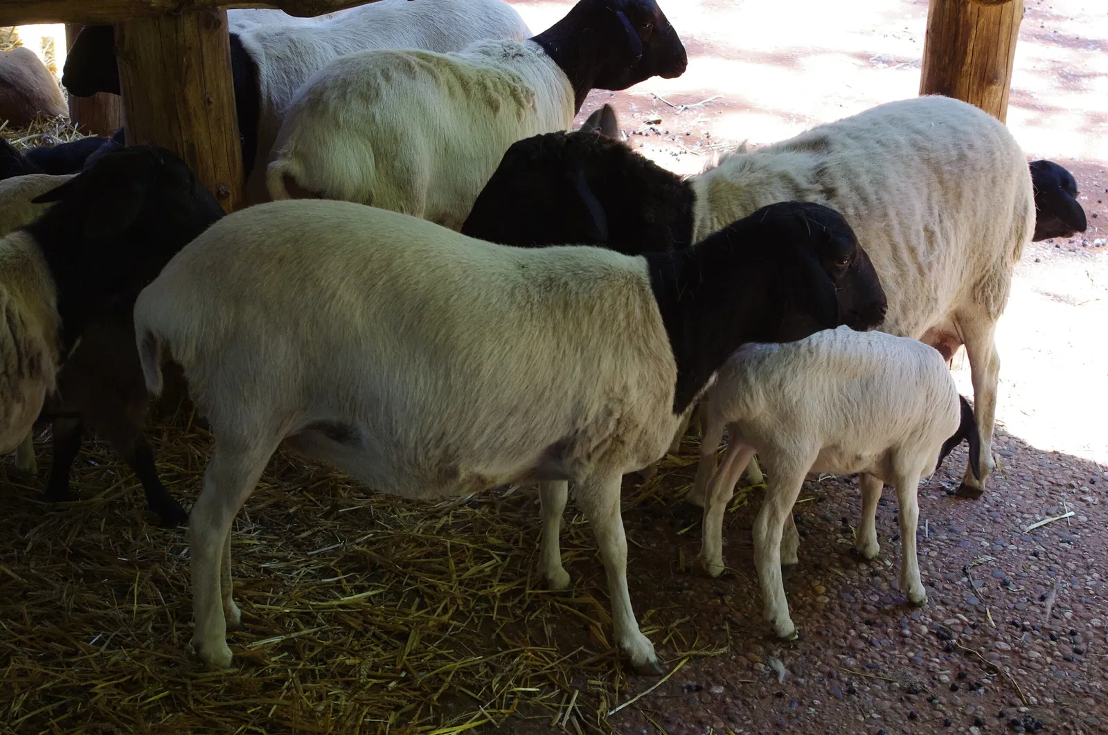ZOOM Erlebniswelt Gelsenkirchen