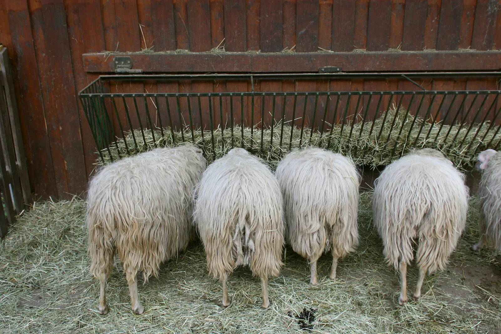 ZOOM Erlebniswelt Gelsenkirchen